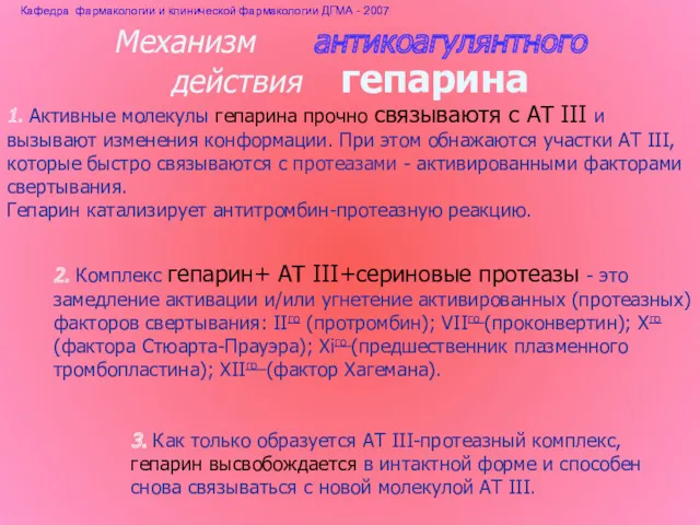 Механизм антикоагулянтного действия гепарина 1. Активные молекулы гепарина прочно связываютя