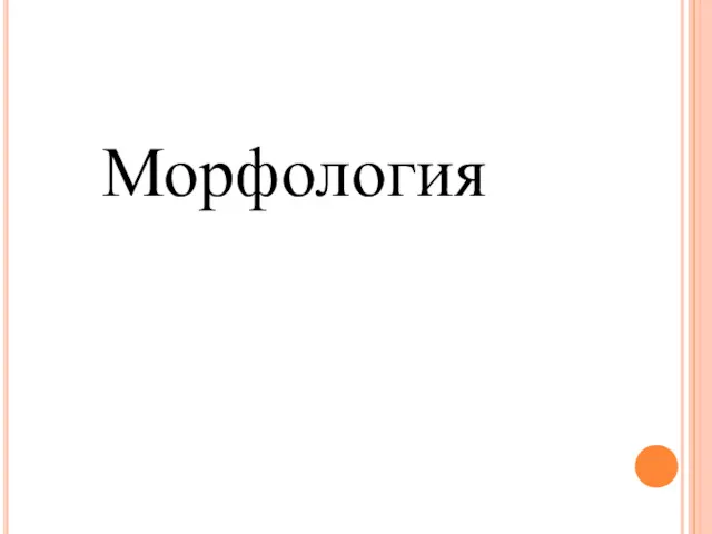 Морфология