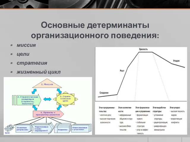 Основные детерминанты организационного поведения: миссия цели стратегия жизненный цикл организации.