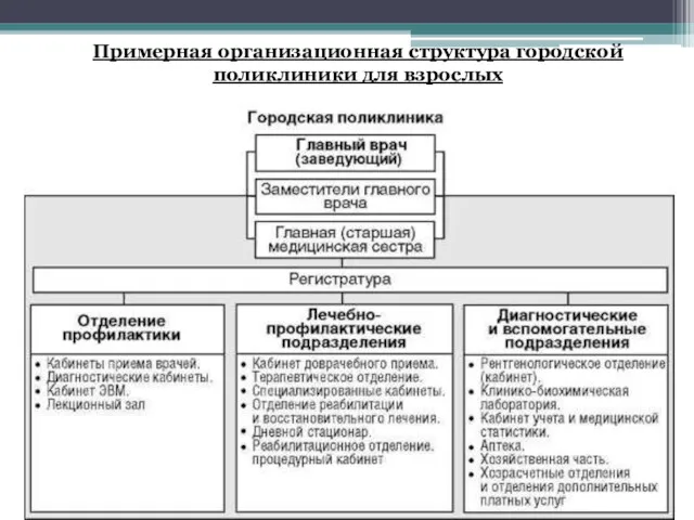 Примерная организационная структура городской поликлиники для взрослых