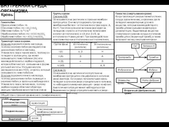 ВНУТРЕННЯЯ СРЕДА ОРГАНИЗМА Кровь Гемоглобин Дезоксигемоглобин: Hb Оксигемоглобин: Hb +
