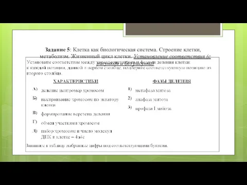Задание 5: Клетка как биологическая система. Строение клетки, метаболизм. Жизненный