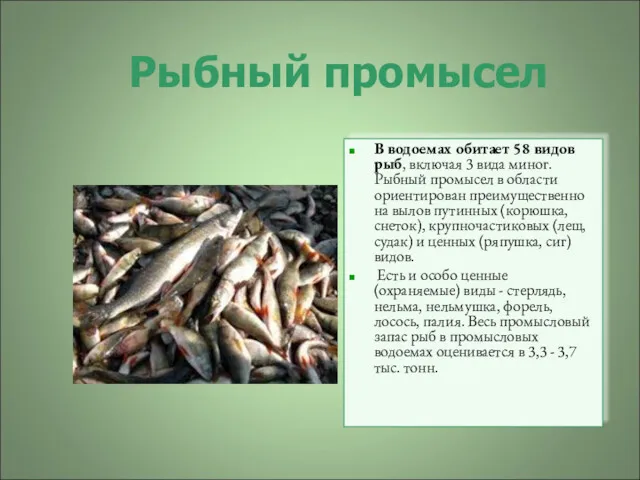 Рыбный промысел В водоемах обитает 58 видов рыб, включая 3