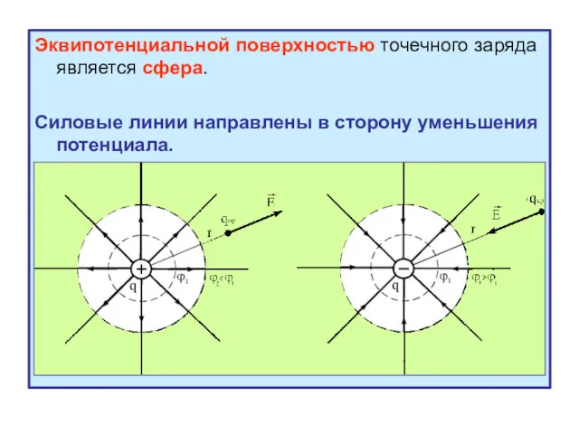 Эквипотенциальной поверхностью точечного заряда является сфера. Силовые линии направлены в сторону уменьшения потенциала.