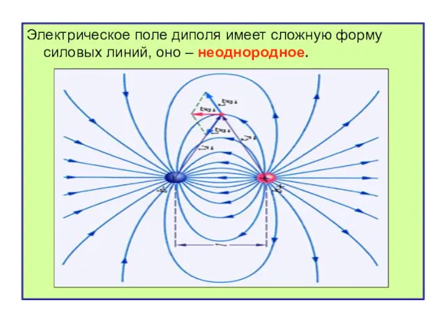 Электрическое поле диполя имеет сложную форму силовых линий, оно – неоднородное.