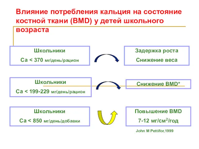 Влияние потребления кальция на состояние костной ткани (BMD) у детей