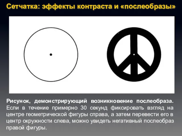 Рисунок, демонстрирующий возникновение послеобраза. Если в течение примерно 30 секунд