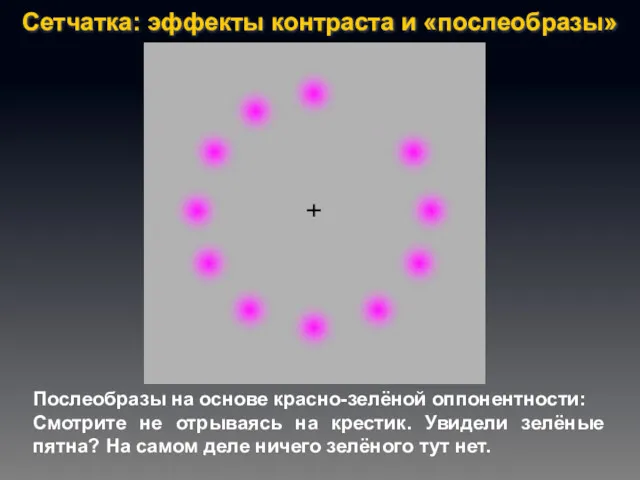 Послеобразы на основе красно-зелёной оппонентности: Смотрите не отрываясь на крестик.