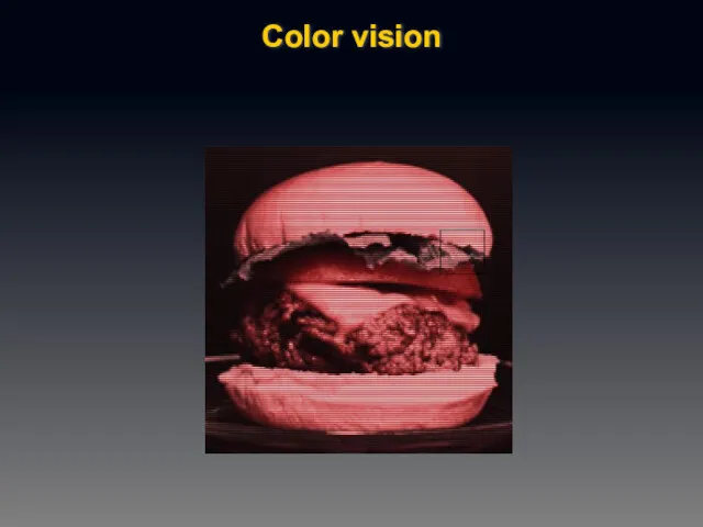 Color vision