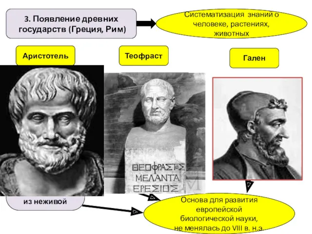 3. Появление древних государств (Греция, Рим) Систематизация знаний о человеке,