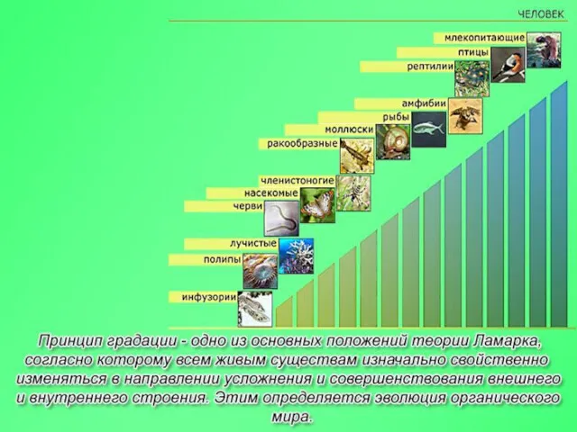 На рисунке изображён великий французский естествоиспытатель и биолог конца XVIII