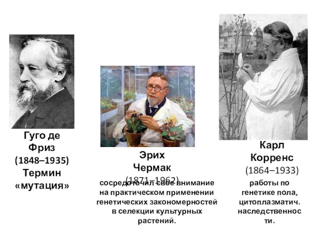 Гуго де Фриз (1848–1935) Термин «мутация» сосредоточил свое внимание на