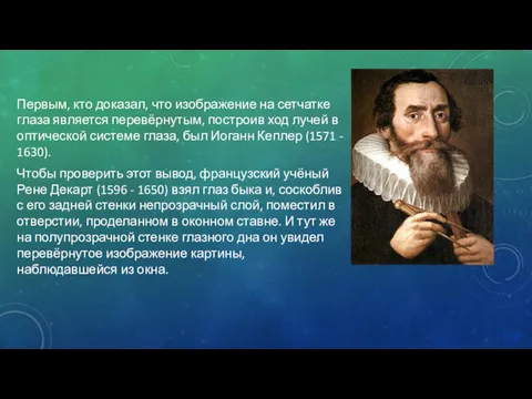 Первым, кто доказал, что изображение на сетчатке глаза является перевёрнутым,