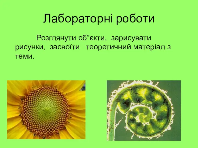 Лабораторні роботи Розглянути об”єкти, зарисувати рисунки, засвоїти теоретичний матеріал з теми.