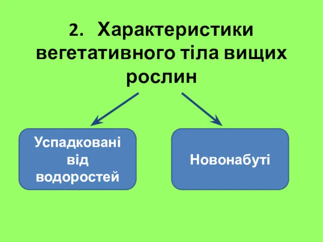 2. Характеристики вегетативного тіла вищих рослин