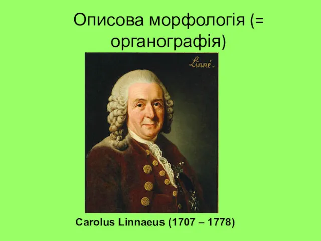 Описова морфологія (= органографія) Carolus Linnaeus (1707 – 1778)