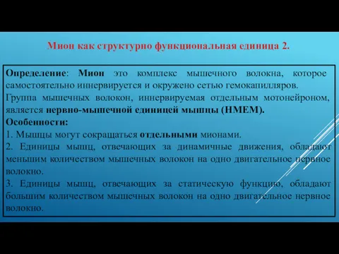 Мион как структурно функциональная единица 2. Определение: Мион это комплекс