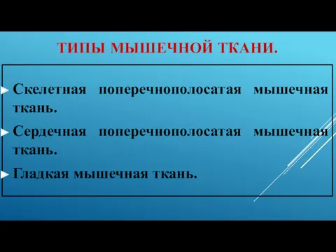 ТИПЫ МЫШЕЧНОЙ ТКАНИ. Скелетная поперечнополосатая мышечная ткань. Сердечная поперечнополосатая мышечная ткань. Гладкая мышечная ткань.