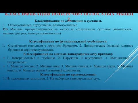 КЛАССИФИКАЦИЯ ПОПЕРЕЧНО-ПОЛОСАТЫХ МЫШЦ 2. Классификация по отношению к суставам. Односуставные,