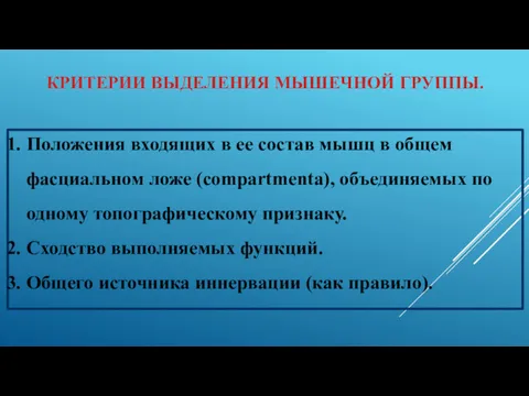 КРИТЕРИИ ВЫДЕЛЕНИЯ МЫШЕЧНОЙ ГРУППЫ. Положения входящих в ее состав мышц