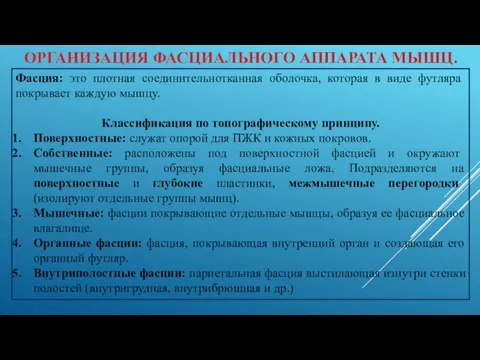 ОРГАНИЗАЦИЯ ФАСЦИАЛЬНОГО АППАРАТА МЫШЦ. Фасция: это плотная соединительнотканная оболочка, которая