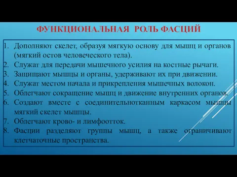 ФУНКЦИОНАЛЬНАЯ РОЛЬ ФАСЦИЙ Дополняют скелет, образуя мягкую основу для мышц