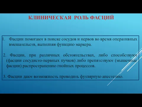 КЛИНИЧЕСКАЯ РОЛЬ ФАСЦИЙ Фасции помогают в поиске сосудов и нервов