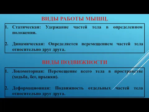 ВИДЫ РАБОТЫ МЫШЦ. Статическая: Удержание частей тела в определенном положении.