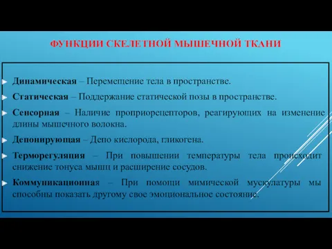 ФУНКЦИИ СКЕЛЕТНОЙ МЫШЕЧНОЙ ТКАНИ Динамическая – Перемещение тела в пространстве.