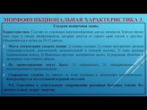 МОРФОФУНКЦИОНАЛЬНАЯ ХАРАКТЕРИСТИКА 3. Гладкая мышечная ткань. Характеристика. Состоит из отдельных