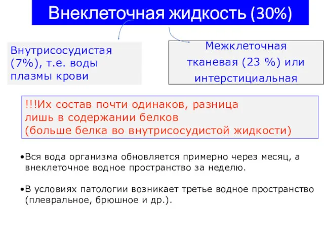 Внеклеточная жидкость (30%) Межклеточная тканевая (23 %) или интерстициальная Внутрисосудистая