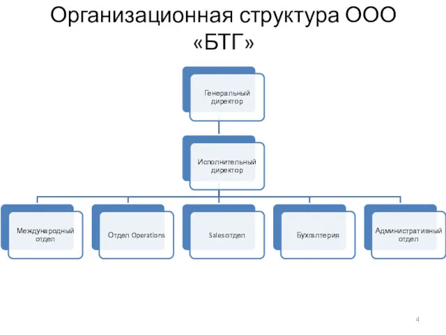 Организационная структура ООО «БТГ»