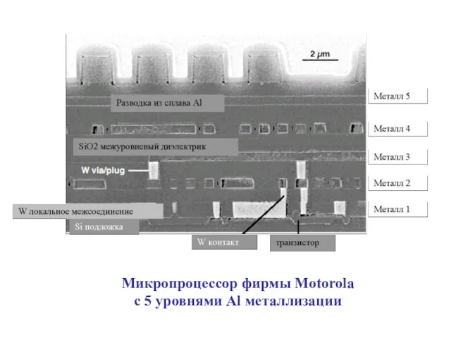 Микропроцессор фирмы Motorola с 5 уровнями Al металлизации