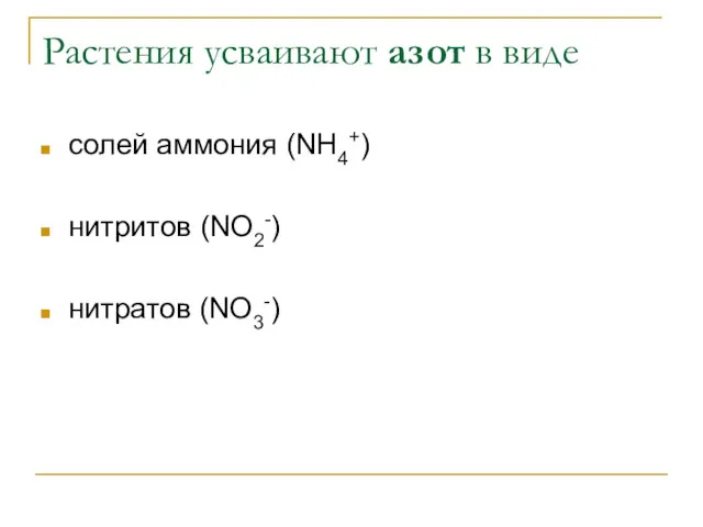 Растения усваивают азот в виде солей аммония (NH4+) нитритов (NO2-) нитратов (NO3-)