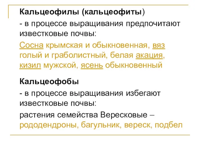 Кальцеофилы (кальцеофиты) - в процессе выращивания предпочитают известковые почвы: Сосна