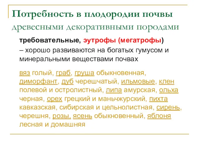 Потребность в плодородии почвы древесными декоративными породами требовательные, эутрофы (мегатрофы)