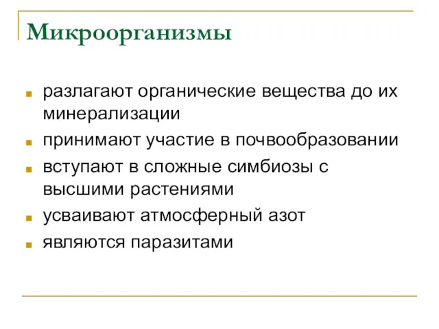 Микроорганизмы разлагают органические вещества до их минерализации принимают участие в