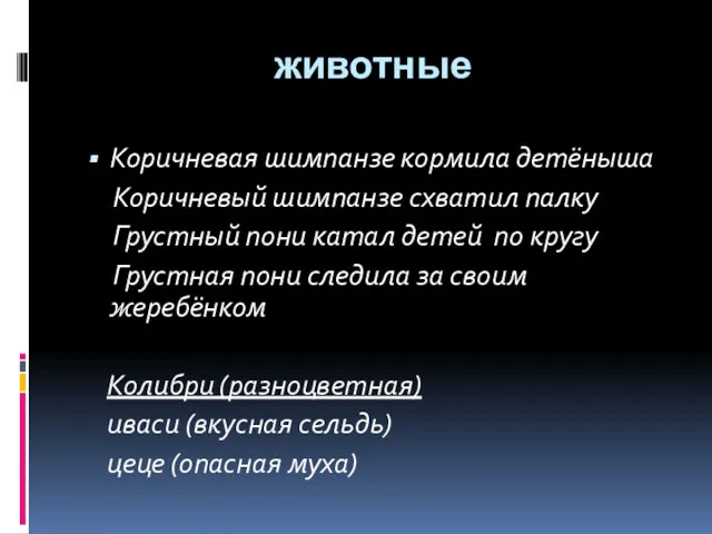 животные Коричневая шимпанзе кормила детёныша Коричневый шимпанзе схватил палку Грустный