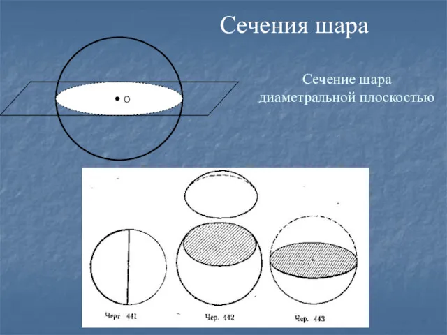 Сечение шара диаметральной плоскостью О Сечения шара