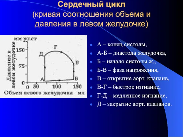 Сердечный цикл (кривая соотношения объема и давления в левом желудочке)