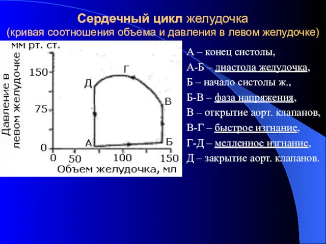 Сердечный цикл желудочка (кривая соотношения объема и давления в левом