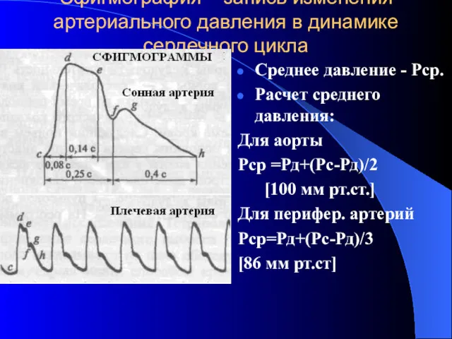 Сфигмография – запись изменения артериального давления в динамике сердечного цикла