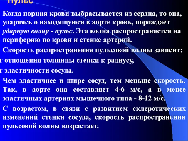 Пульс Когда порция крови выбрасывается из сердца, то она, ударяясь