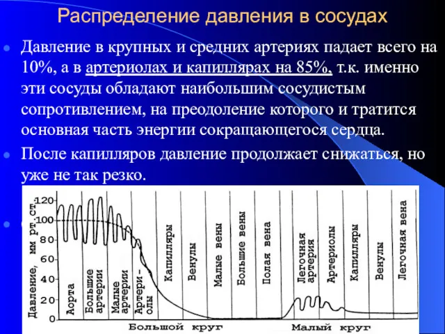 Распределение давления в сосудах Давление в крупных и средних артериях