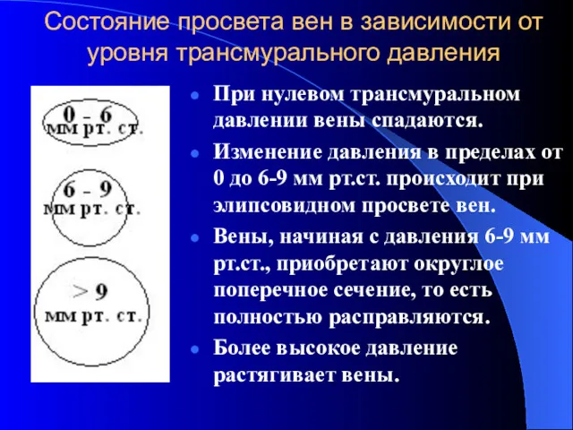 Состояние просвета вен в зависимости от уровня трансмурального давления При