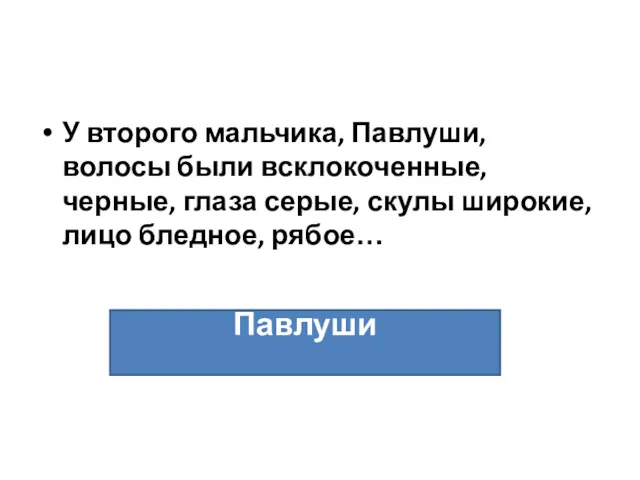 У второго мальчика, Павлуши, волосы были всклокоченные, черные, глаза серые, скулы широкие, лицо бледное, рябое… Павлуши