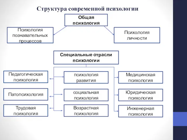 Структура современной психологии Общая психология Психология познавательных процессов Психология личности