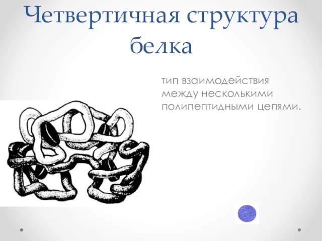 Четвертичная структура белка тип взаимодействия между несколькими полипептидными цепями.