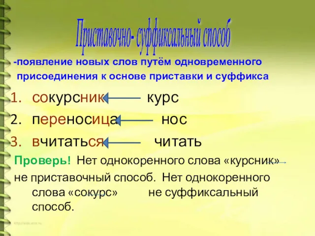 сокурсник курс переносица нос вчитаться читать Проверь! Нет однокоренного слова