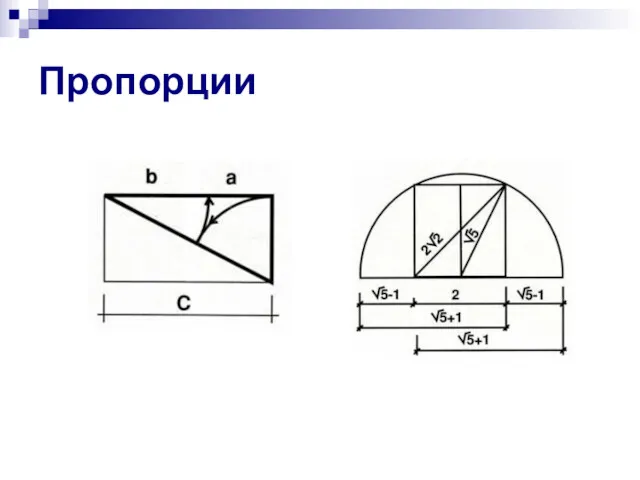 Пропорции